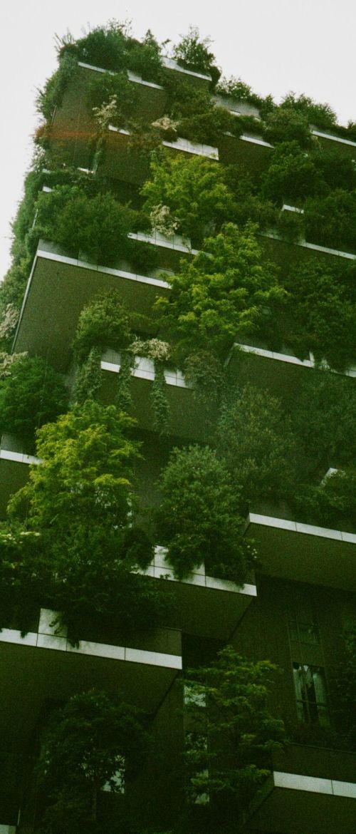 Auslagerung des Informationssicherheitsbeauftragten