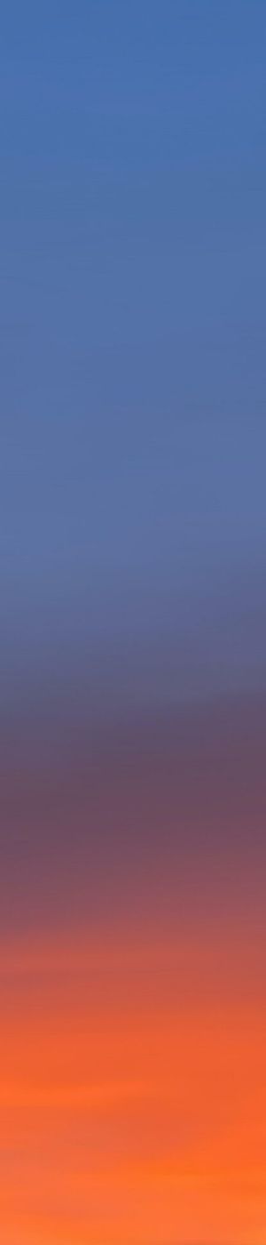 Effektivität im Fokus - S+P Compliance Package 12 Compliance meistern mit dem S+P Compliance Package