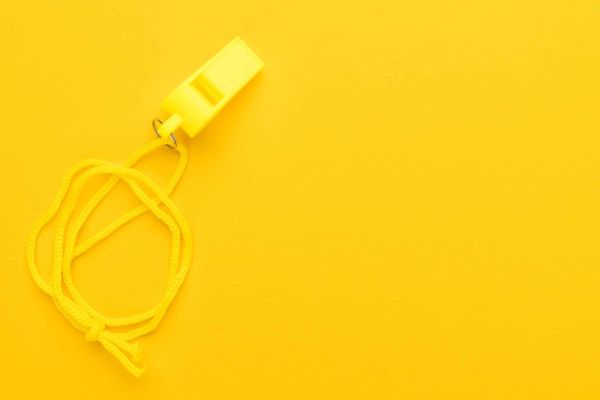 S+P Compliance Services - Ihr starker Partner für mehr Sicherheit 13 S+P Compliance Services - Whistleblowing